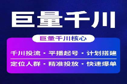 百度竞价广告投放策略：案例分析及效果评估